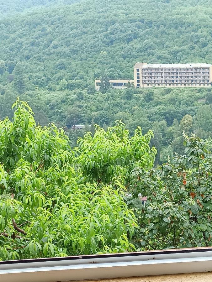 Green Garden Ijevan Exterior photo